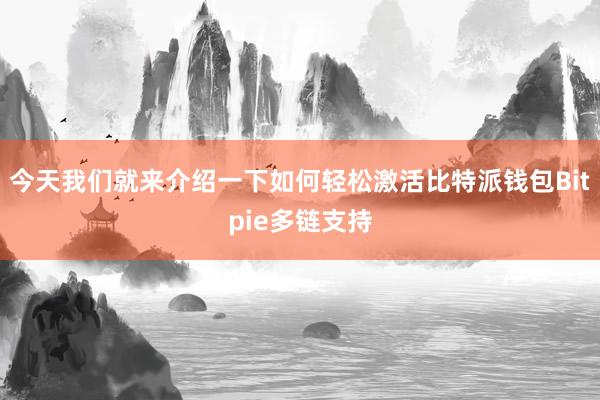 今天我们就来介绍一下如何轻松激活比特派钱包Bitpie多链支持