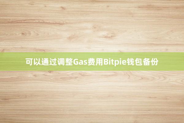 可以通过调整Gas费用Bitpie钱包备份