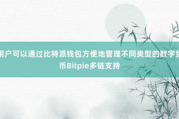 用户可以通过比特派钱包方便地管理不同类型的数字货币Bitpie多链支持