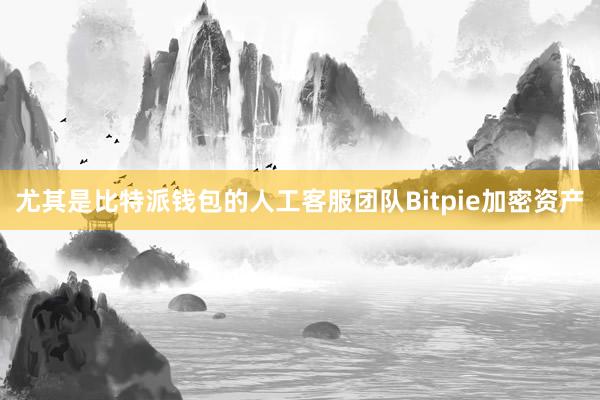 尤其是比特派钱包的人工客服团队Bitpie加密资产