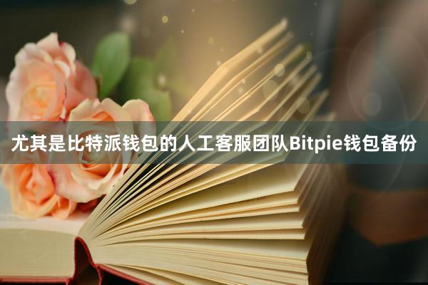 尤其是比特派钱包的人工客服团队Bitpie钱包备份