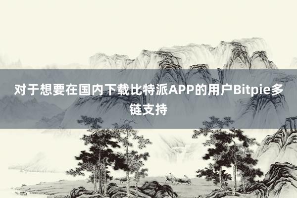 对于想要在国内下载比特派APP的用户Bitpie多链支持