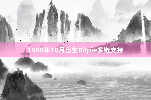 1988年10月出生Bitpie多链支持