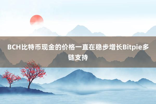 BCH比特币现金的价格一直在稳步增长Bitpie多链支持