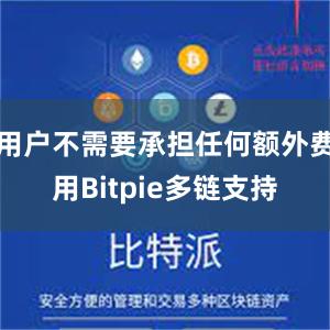 用户不需要承担任何额外费用Bitpie多链支持