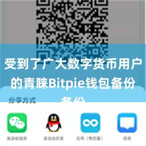 受到了广大数字货币用户的青睐Bitpie钱包备份