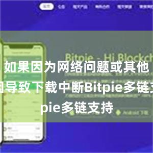 如果因为网络问题或其他原因导致下载中断Bitpie多链支持