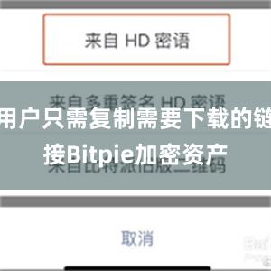 用户只需复制需要下载的链接Bitpie加密资产