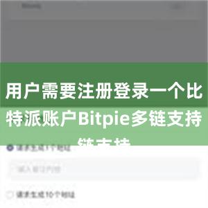 用户需要注册登录一个比特派账户Bitpie多链支持